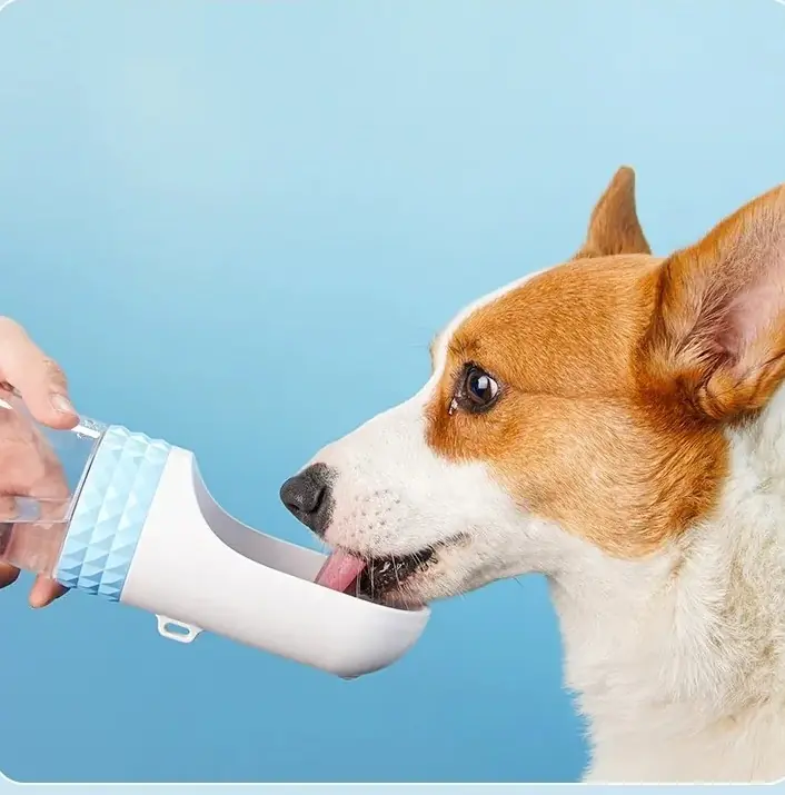 Corgi drinking from the wide white scoop of a blue WanderPaws bottle.